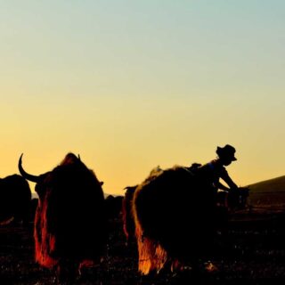 Xining to Lanzhou tour