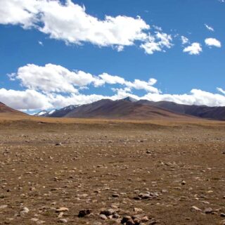 Tsurphu to Yangpachen Trek