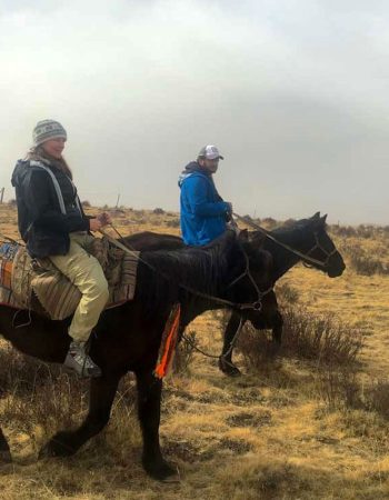 Horseback riding tour