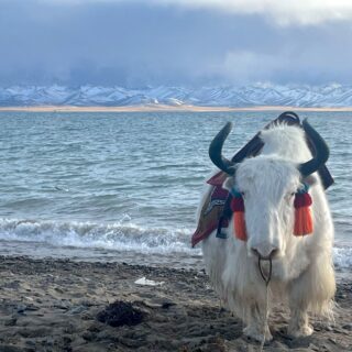 Tibet Visa-Free Countries